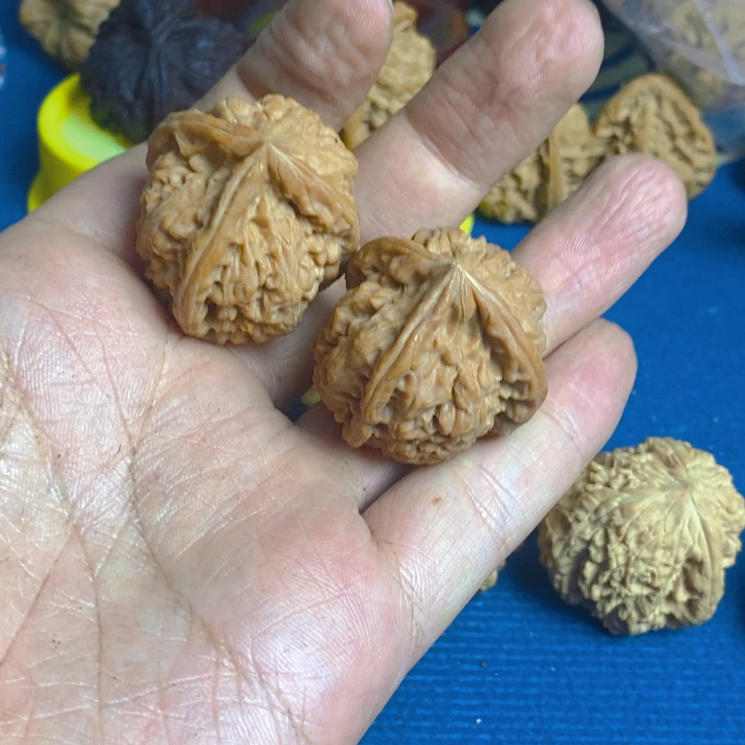 半***闲手串/手链核桃小虚尖，一只棱黄丝