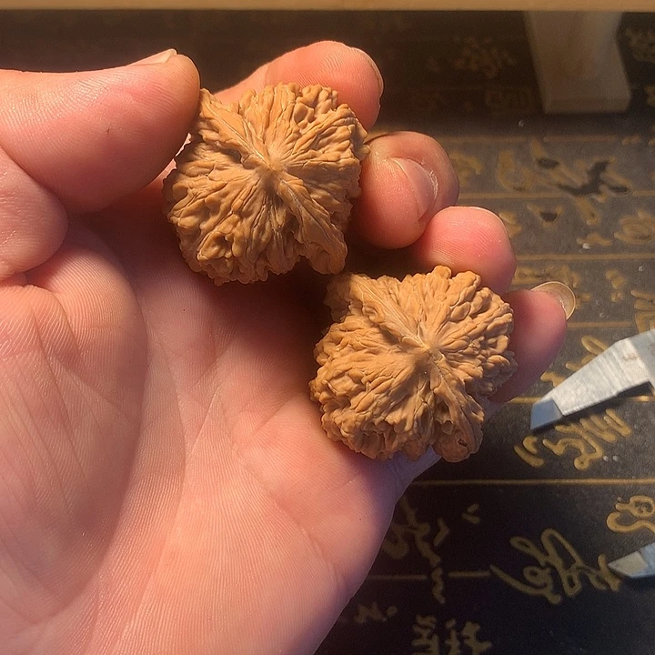@***东大叶紫檀（黑酸枝木类）