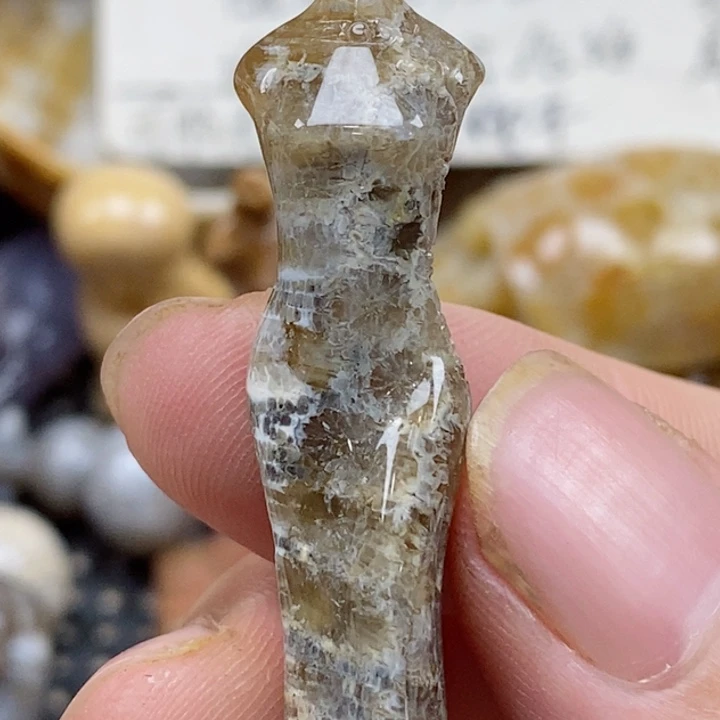 颈饰未镶嵌硅化珊瑚（珊瑚玉）