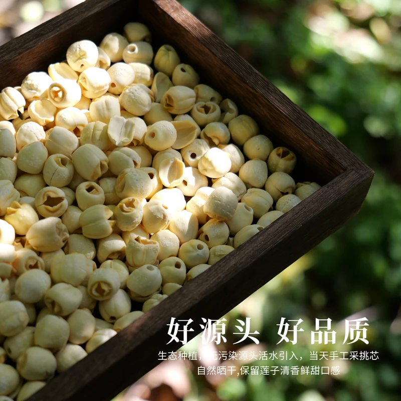 福建建宁通心莲子干货200g/罐软糯饱满香甜可口