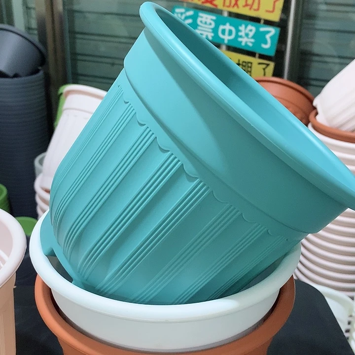 罗马口21蓝4个无托