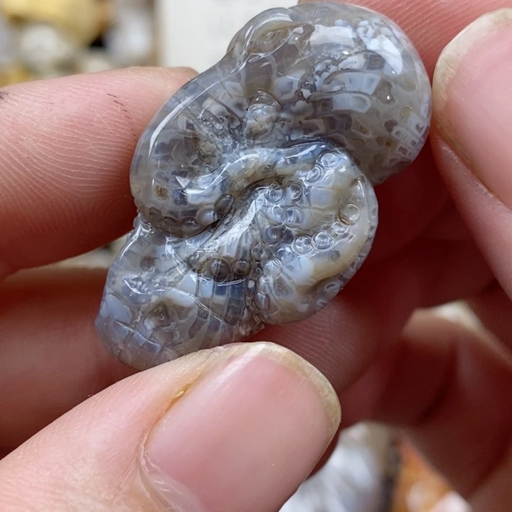 颈饰未镶嵌硅化珊瑚（珊瑚玉）