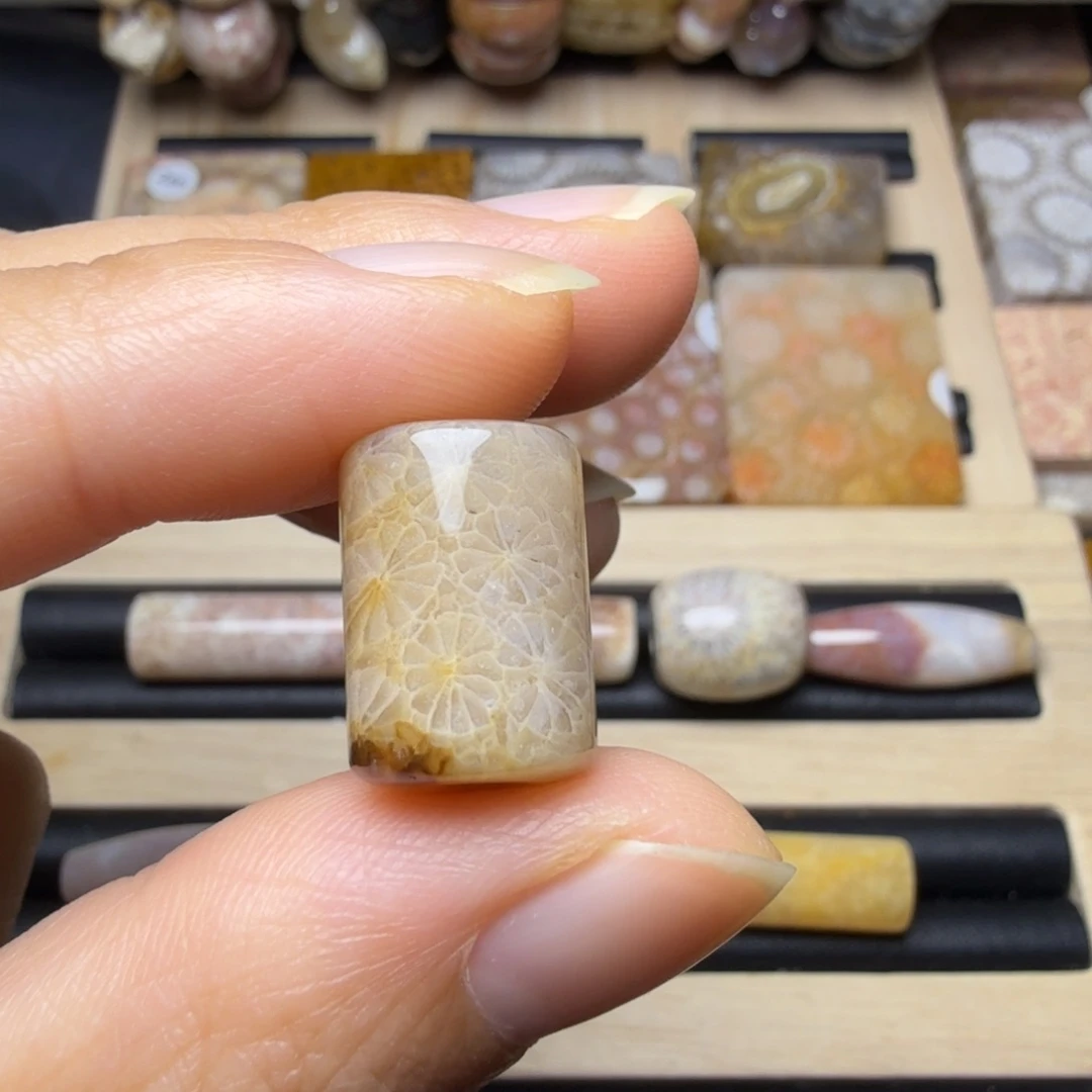 硅化玉未镶嵌20一个，100米6个