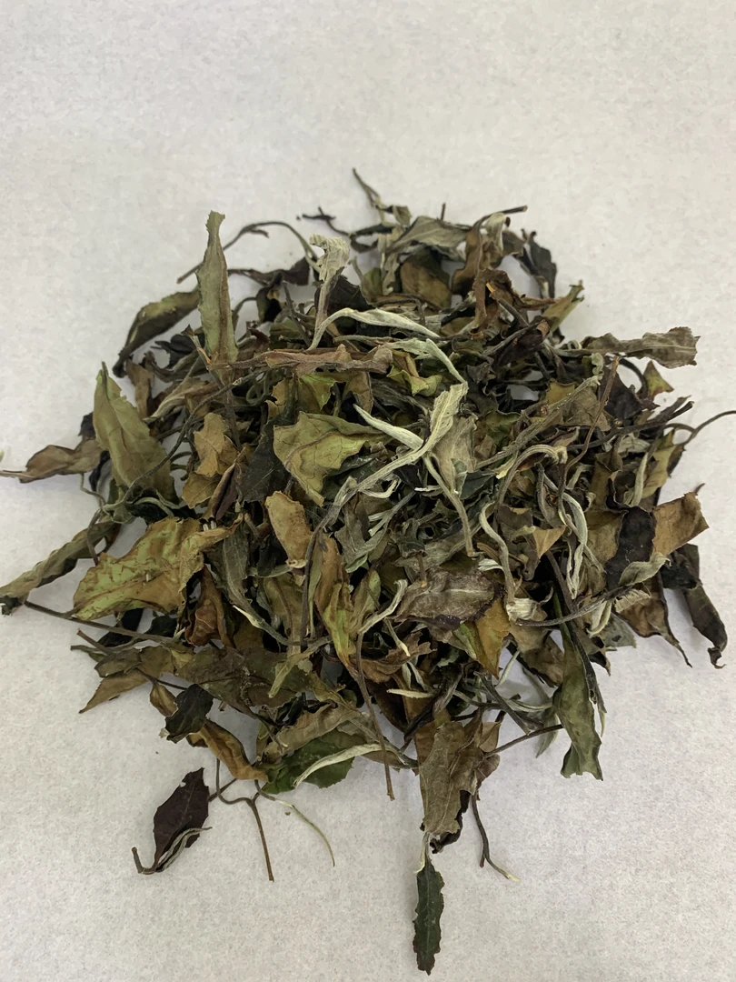 滑竹梁子2024年白茶散100g/袋250g/袋500g/袋新号浮力