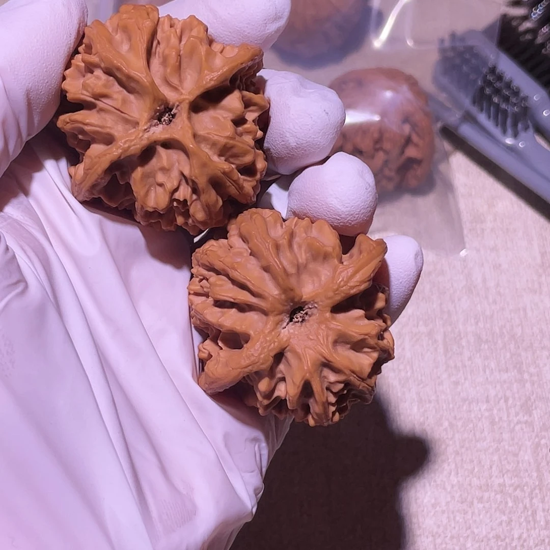 【闪购商品】42苹果园