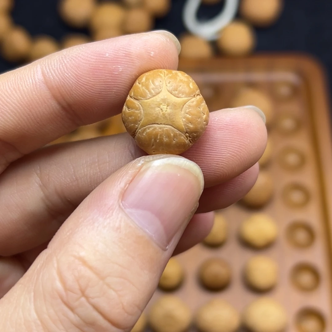 手串凤眼菩提17.1五星上将