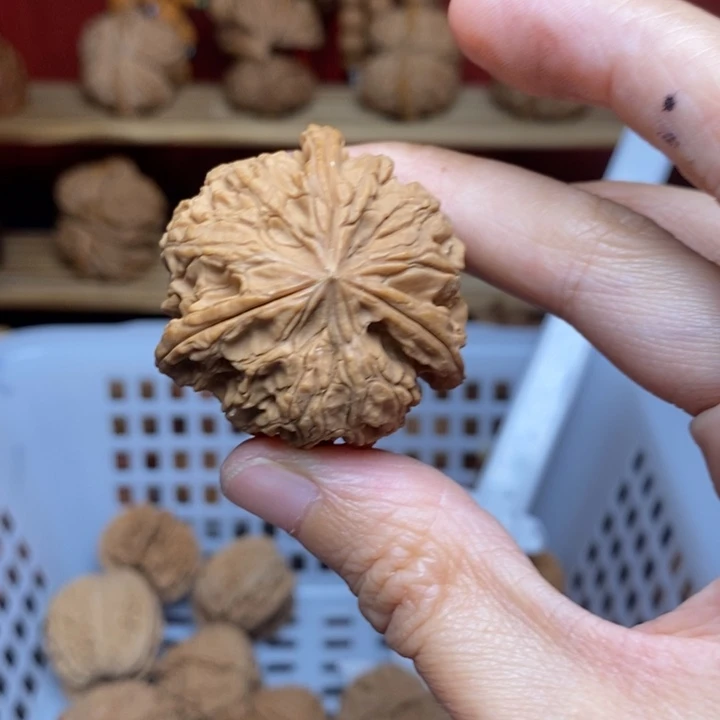 鱼***号把件文玩核桃文玩