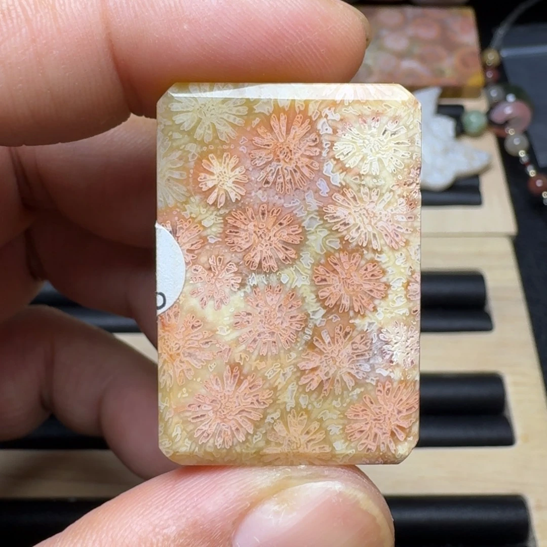 未镶嵌纯天然色有机玉石保真色硅化玉