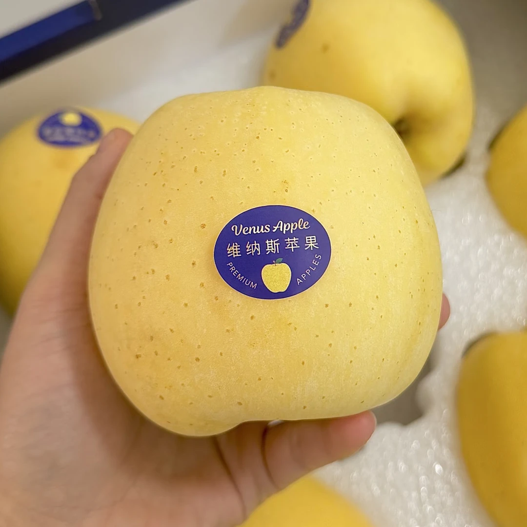 【精品水果】维纳斯苹果 一箱11个