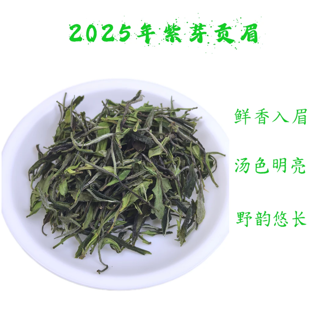 紫芽白 福鼎白茶核心产区2025年小菜茶贡眉