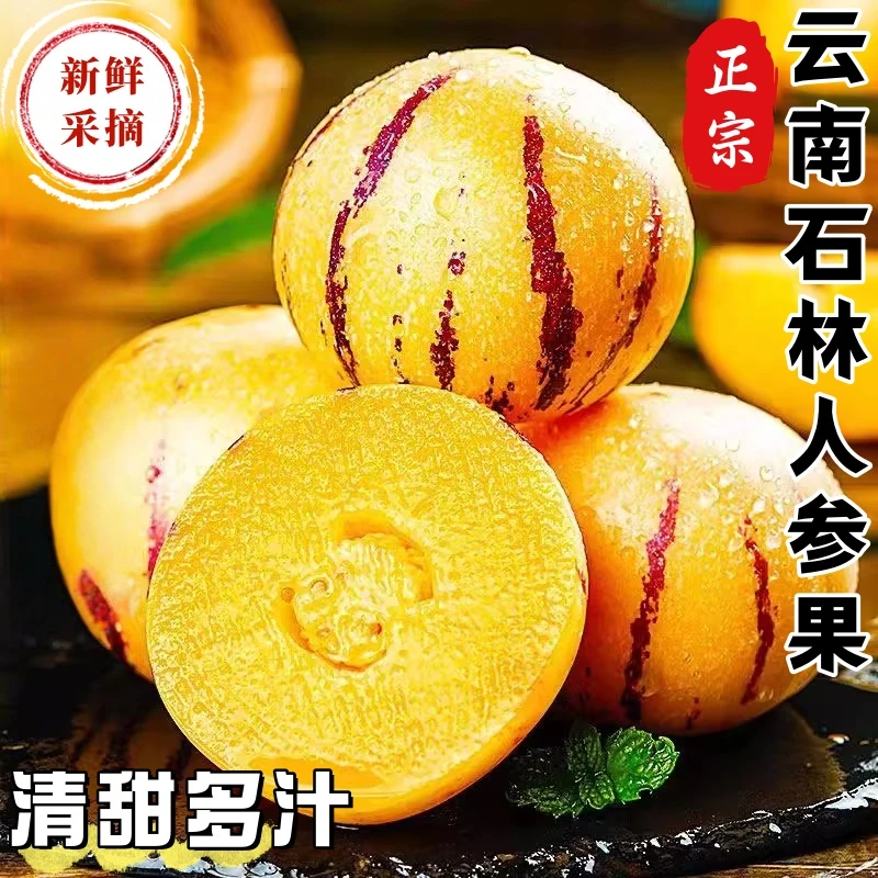 【批发价】云南石林人参果大果黄果应季新鲜圆果人参果清甜爽口