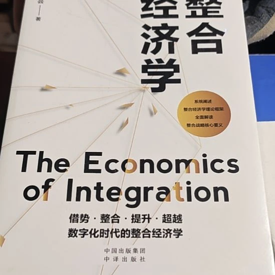 整合经济学平装库存书