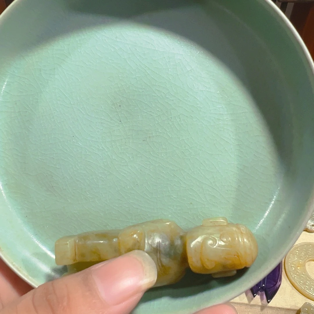 碟用****335888556658886555655