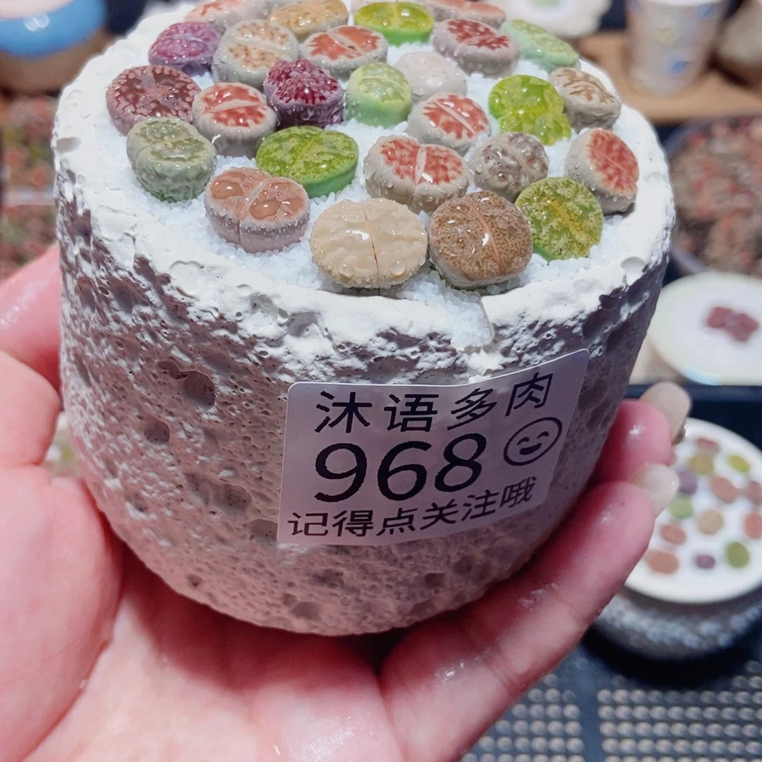 一物一拍 所见即所得968