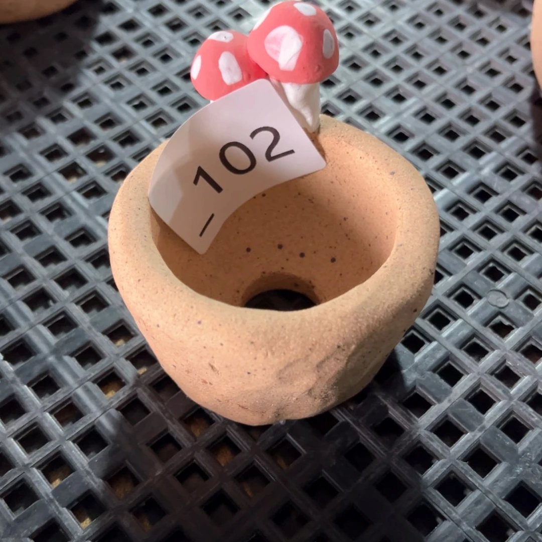 红陶102花盆  1个