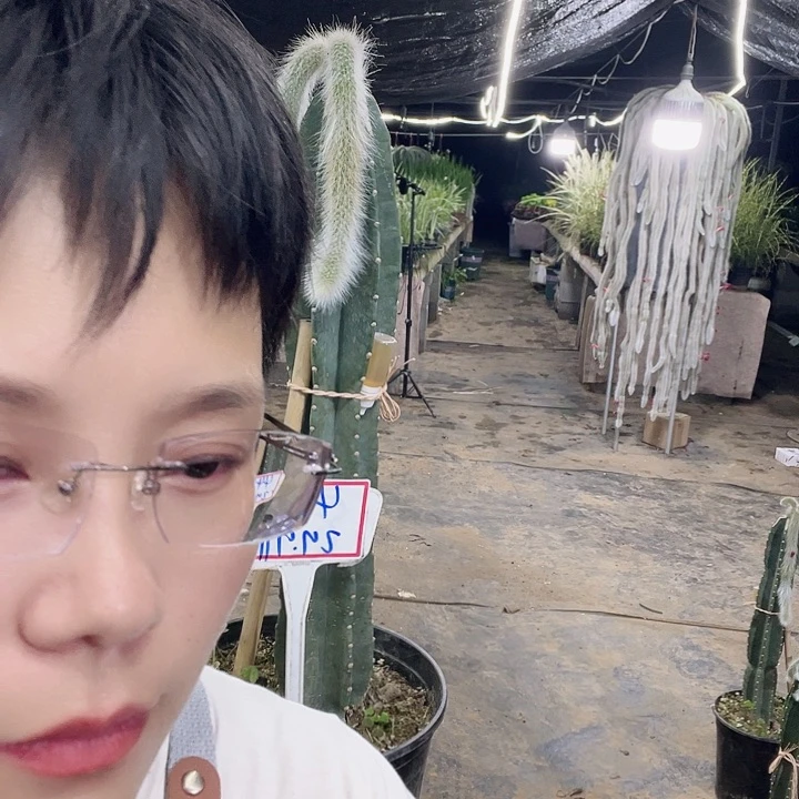我***院4432拖土发货无售后