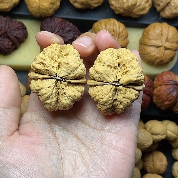 吊坠桃核活*蝴蝶蟾42尺