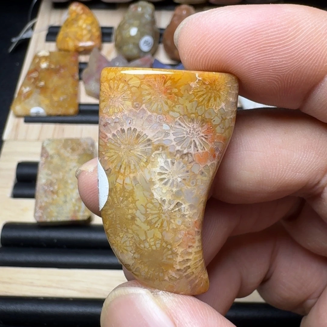 未镶嵌纯天然色有机玉石保真色硅化玉