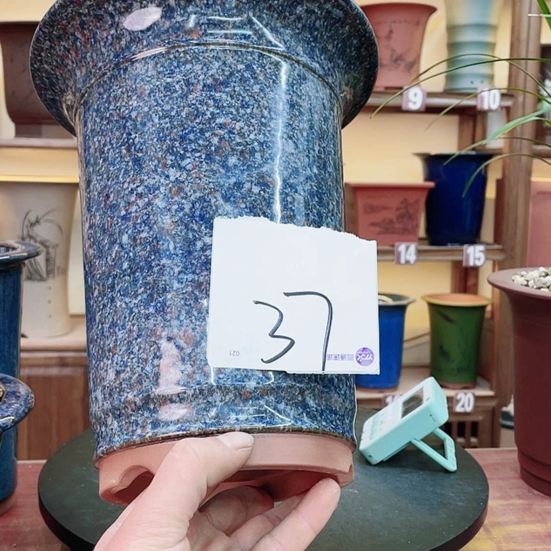 【闪购商品】紫砂花盆农***仔兰花445587477588748875