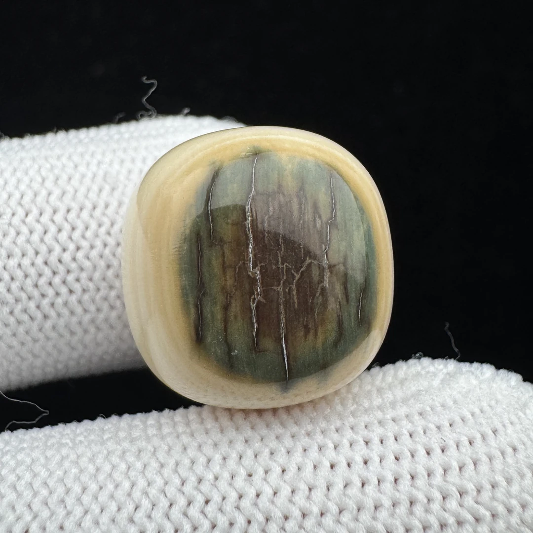 D5868天然猛犸牙 蓝眼睛桶珠16*16.3mm支持鉴定 假一罚四