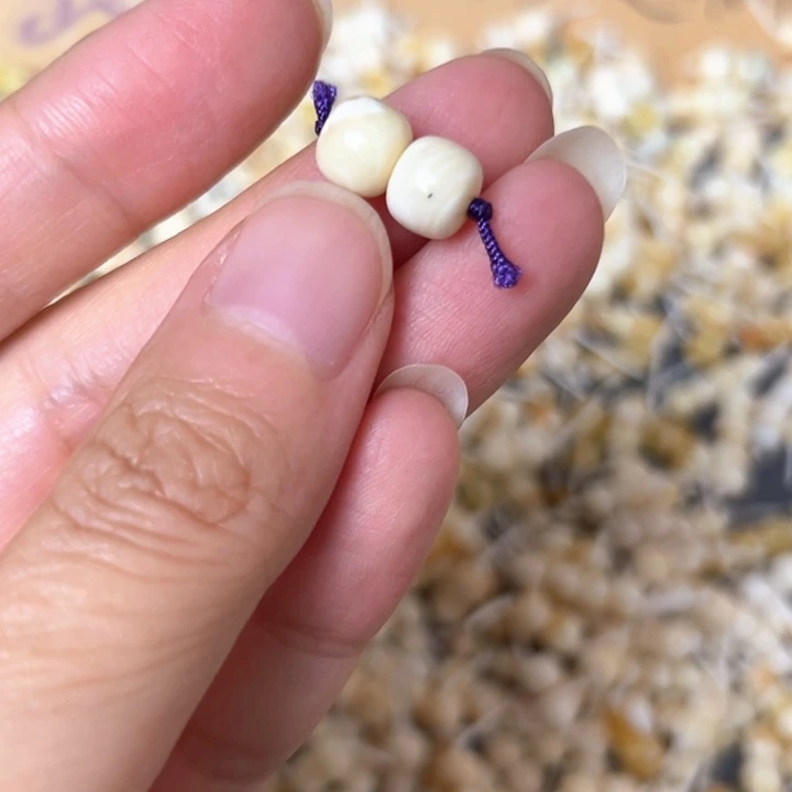 裸石蜜蜡未镶嵌7.5mm一对