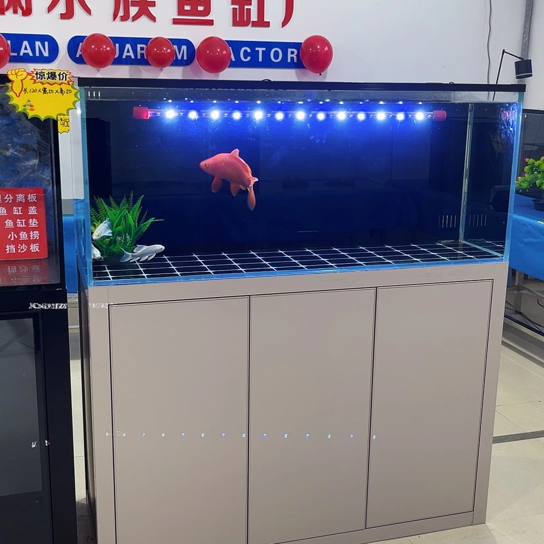 玻璃小**身1.2.50.50背新款鱼马桶