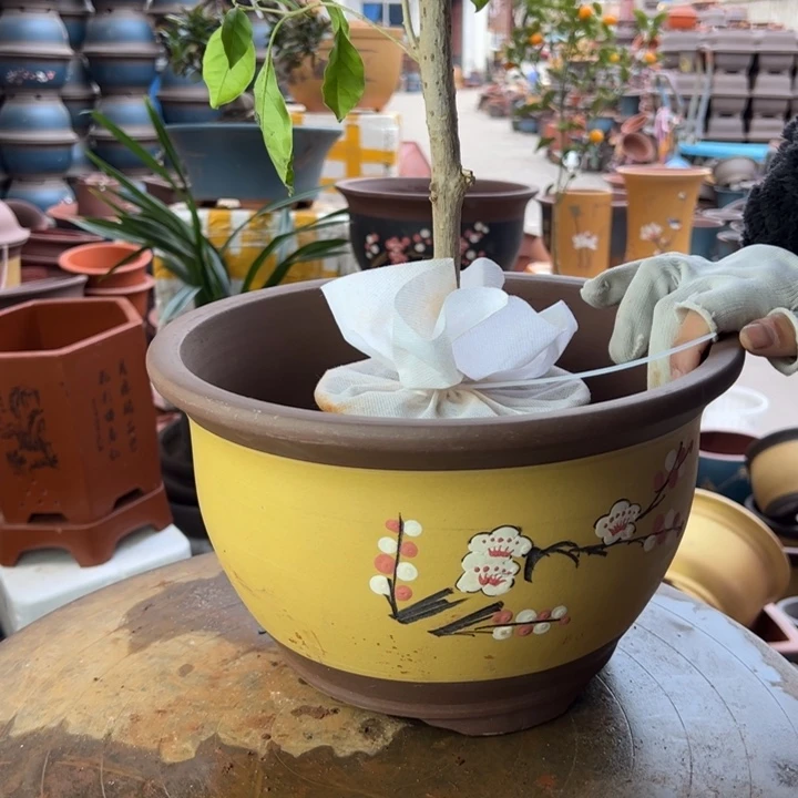 紫砂宜兴紫砂005中号