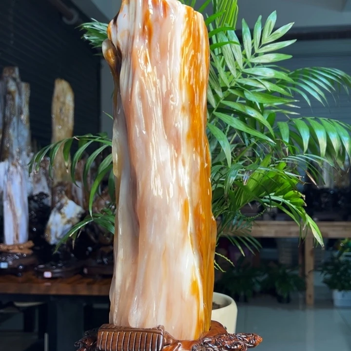 硅化玉（树化玉）未镶嵌珠宝奇石