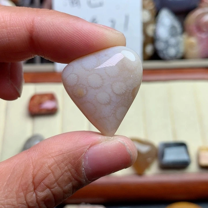 硅化珊瑚（珊瑚玉）颈饰未镶嵌