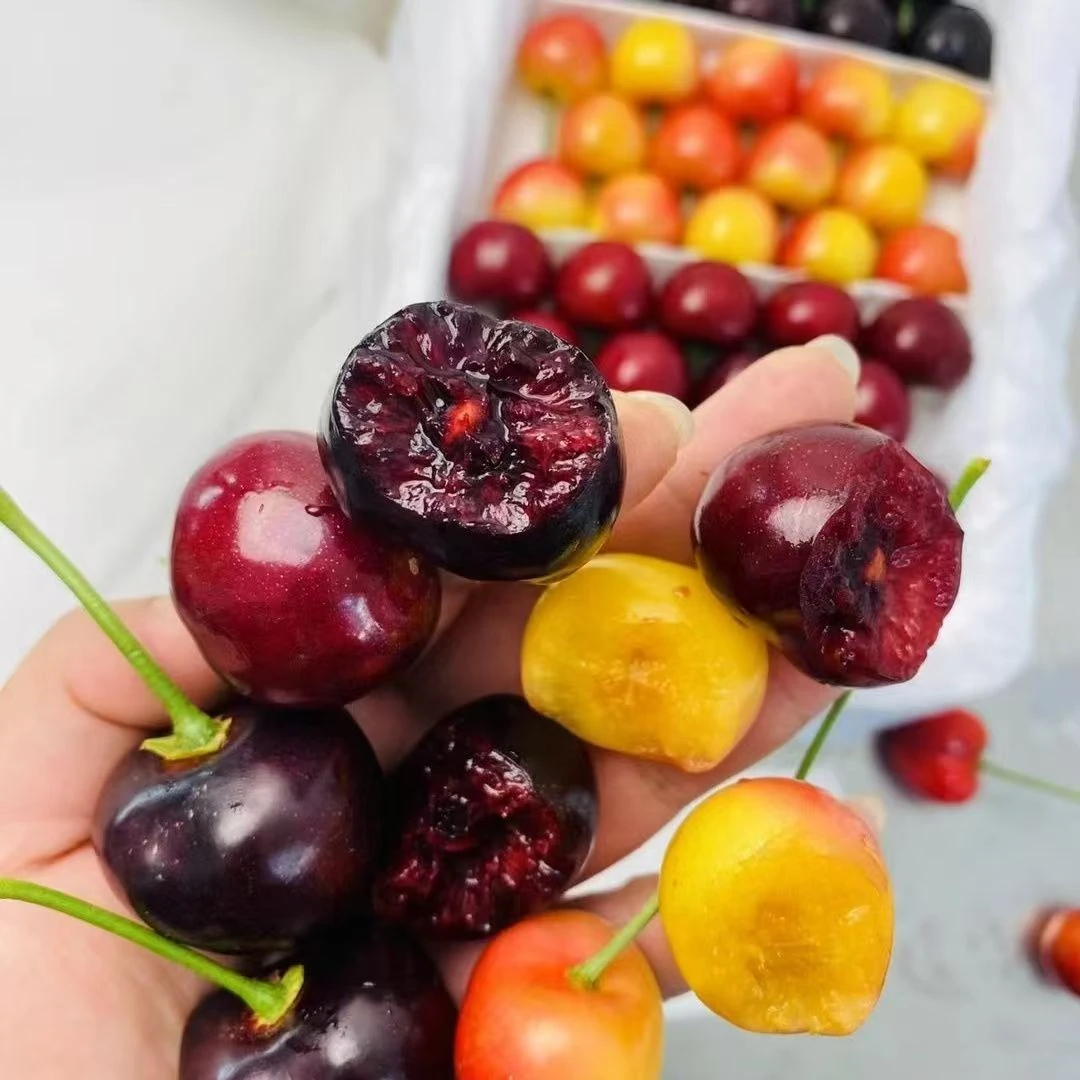 W【顺丰次日达】大连樱桃/多拼（美国红、美早、沙蜜托）3-5斤装产地货J大连樱桃美早/美国红/萨米脱