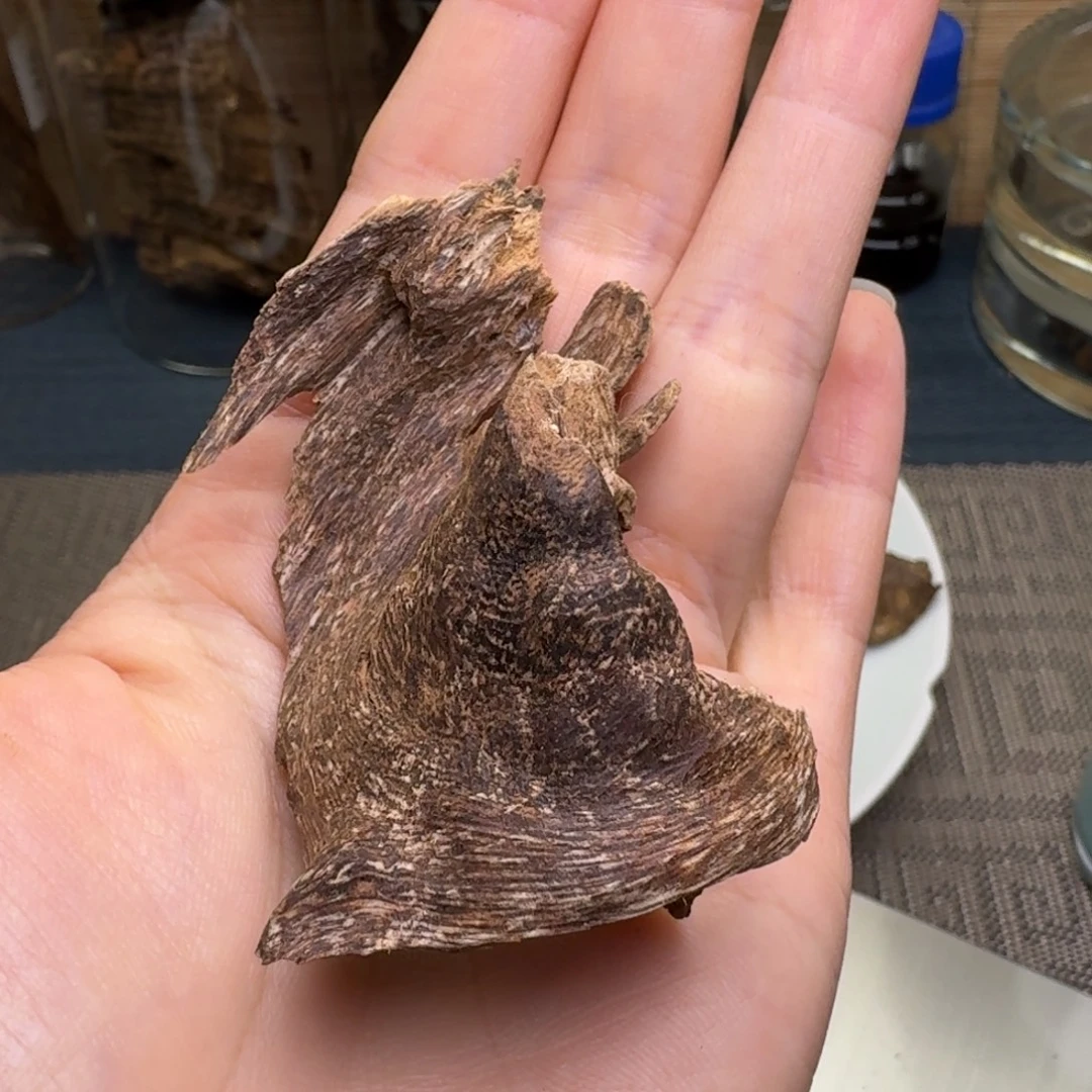 木海南尖峰岭壳子4.3克福利