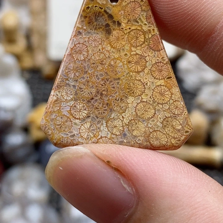 颈饰未镶嵌硅化珊瑚（珊瑚玉）有瑕 小