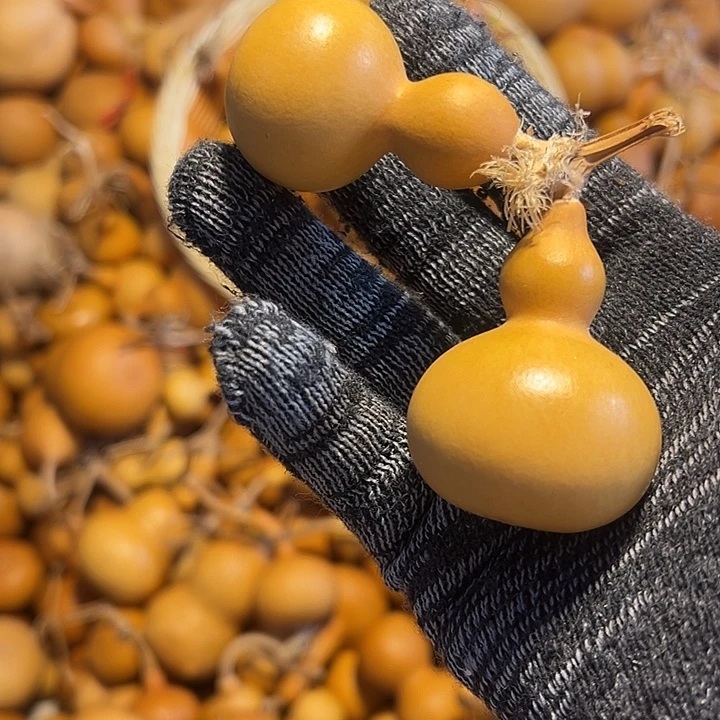 噗***酱不退不换运输中不保龙头完美主义者勿拍