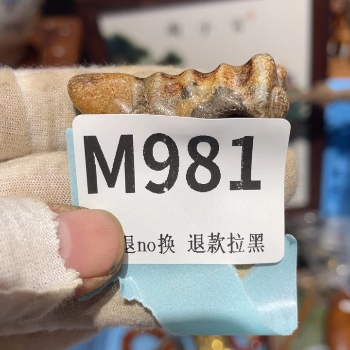 老***E瓷片二表姐直播火爆热卖