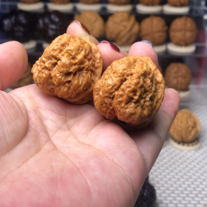 把件文玩核桃54小帝王蟾36