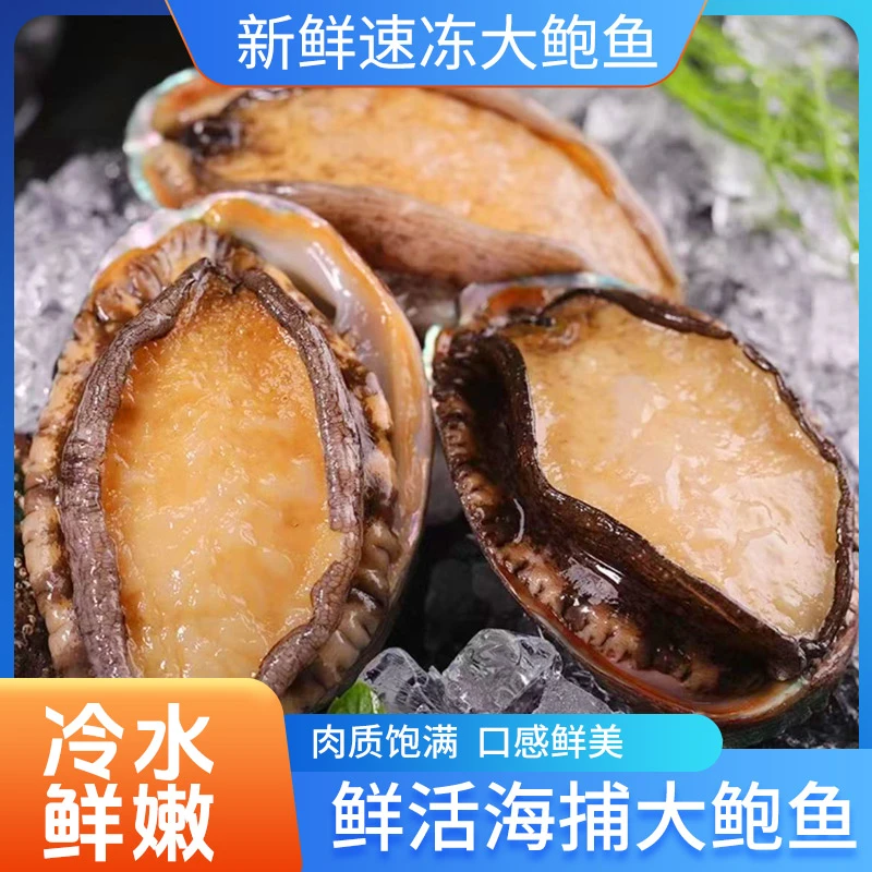 10个超大鲍鱼8-9公分 烟台长岛深海大鲍鱼 新鲜速冻冷水鲜嫩3