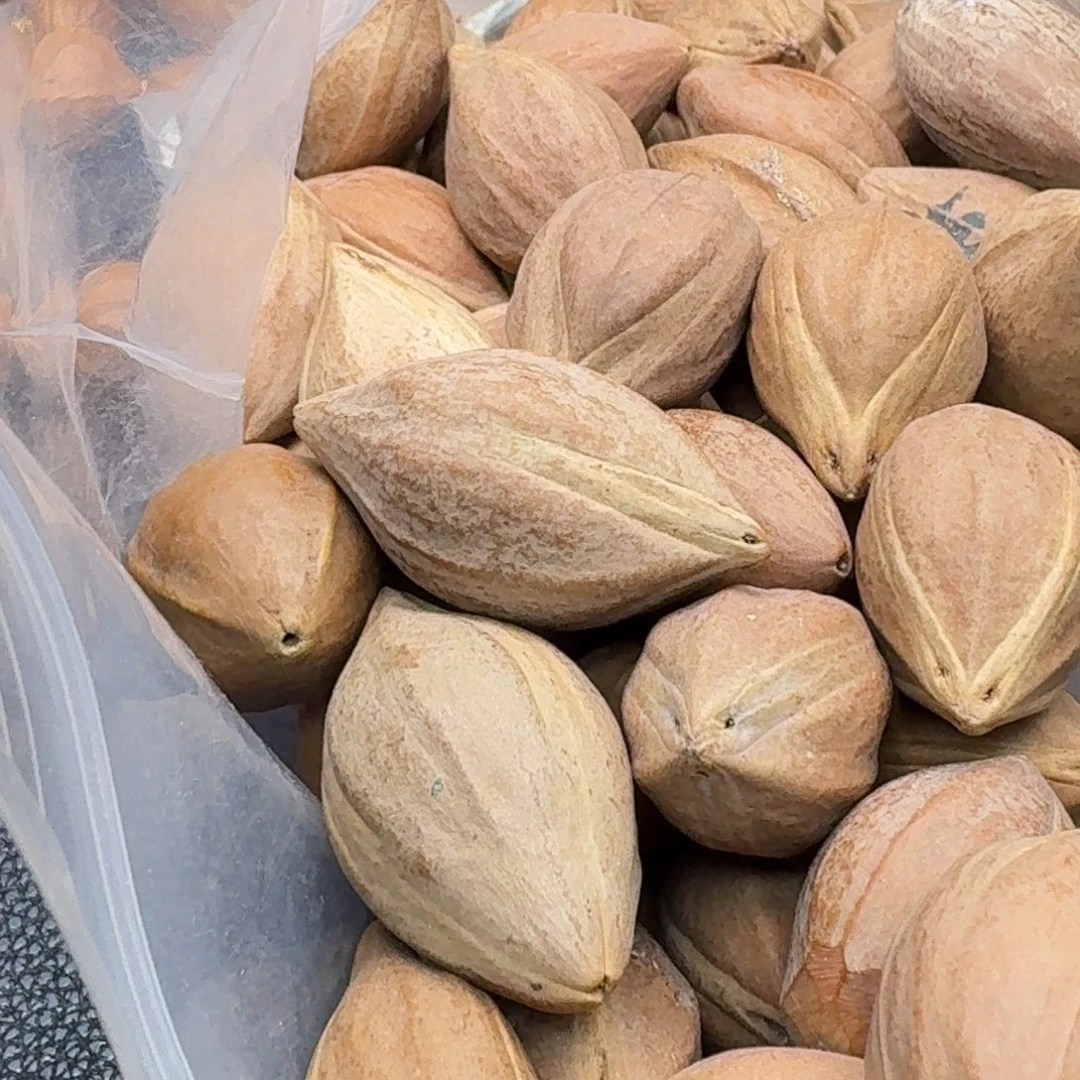 橙***工手串/手链橄榄核1