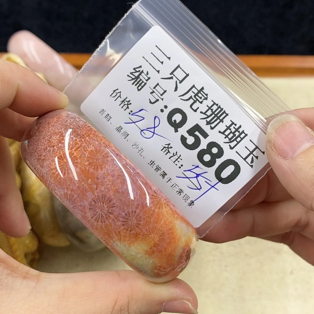 硅化珊瑚（珊瑚玉）1未镶嵌陌*