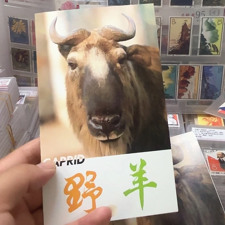 T161邮票套票邮折一个