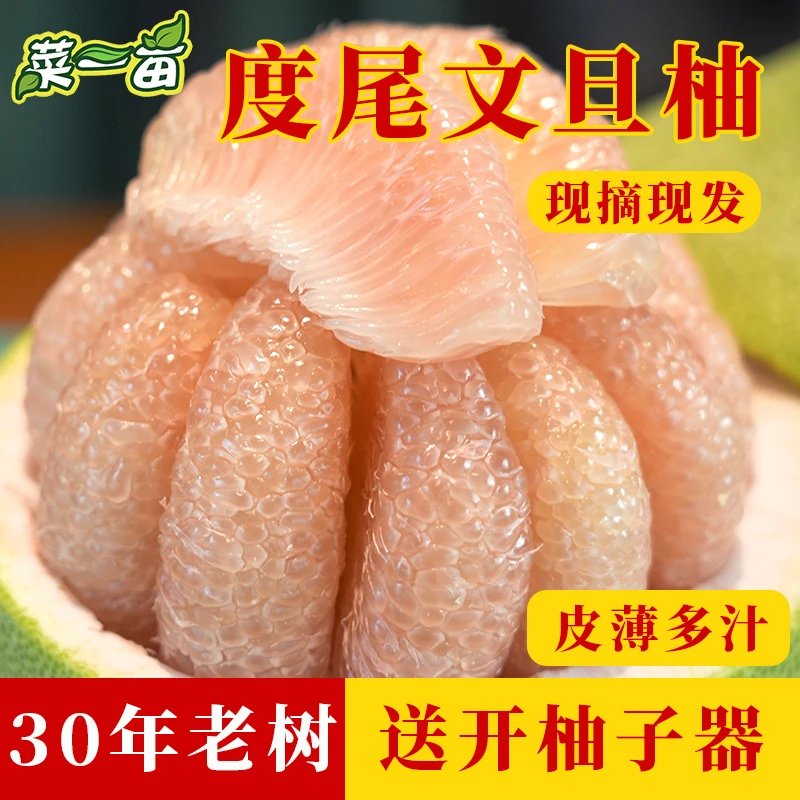 【菜一亩】福建仙游度尾老树红心文旦柚新鲜水果产地直发现摘礼盒装