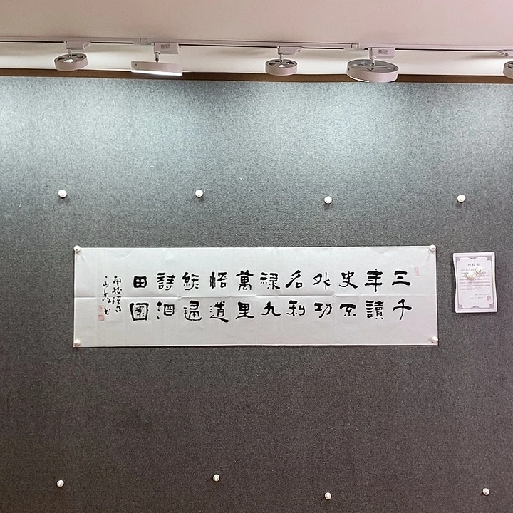 书法书法作品多次参加全国