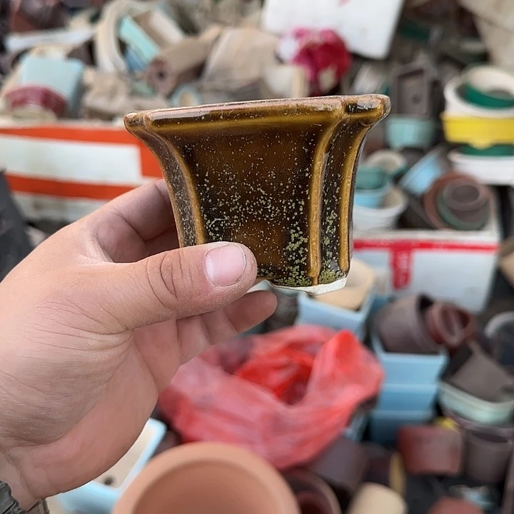 一些有实力却被称为天才画家或画画家