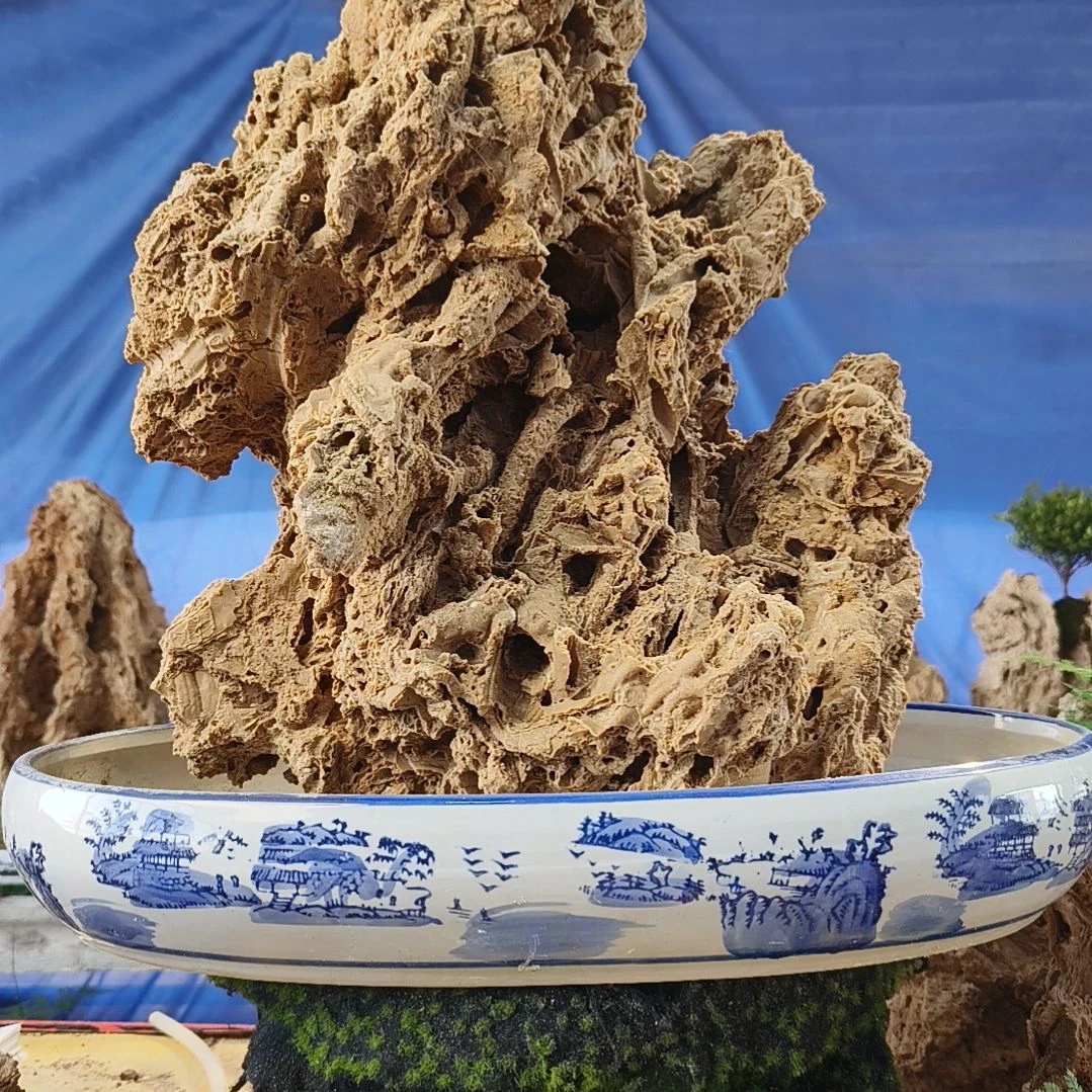 【闪购商品】晒****n0319-2晒文