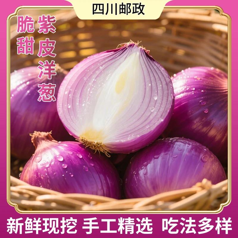 新鲜紫皮洋葱产地直销人工精选皮芽子现挖农家新鲜蔬菜葱头凉拌