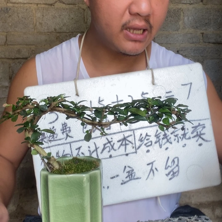 退款拉黑一物一拍145