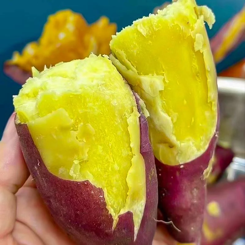 正宗富硒海南桥头地瓜新鲜现挖粉糯板栗薯番薯