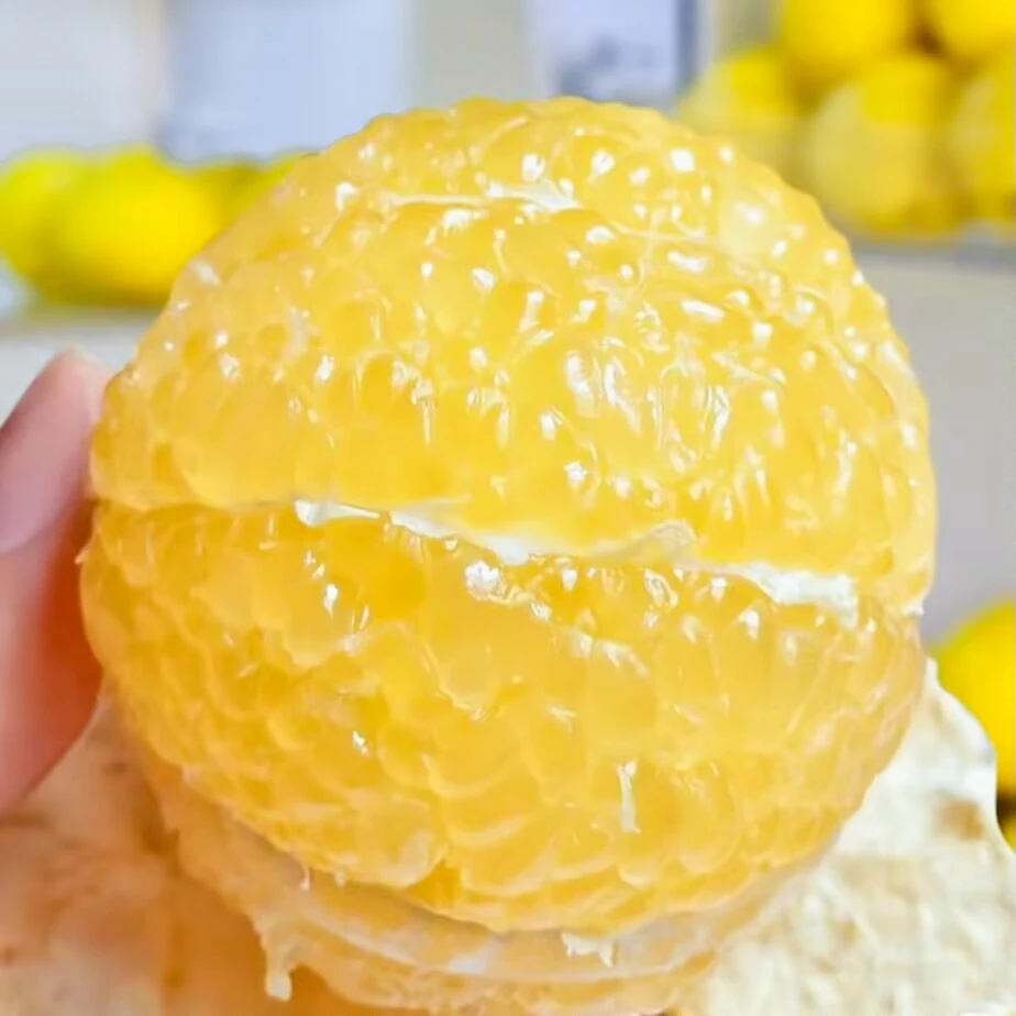 爆汁福建黄金葡萄柚正宗平和当季薄皮新鲜柚子西柚孕妇水果大果