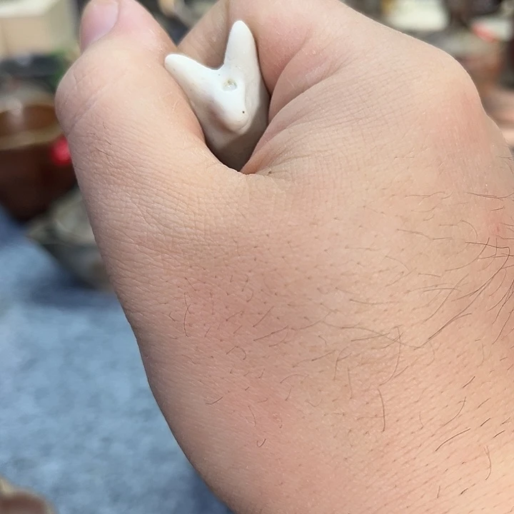 s***e瓷片备前陶瓷茶杯茶盘