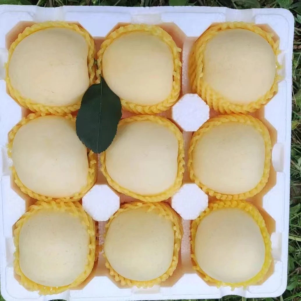 【烟台奶油苹果】正宗奶油富士脆甜多汁营养奶脆香甜整箱3/4.5斤ZB1