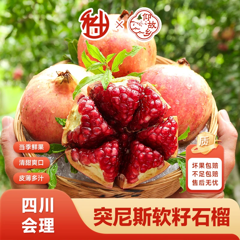 【仰故乡】四川会理突尼斯软籽石榴当季水果新鲜采摘鲜甜多汁B